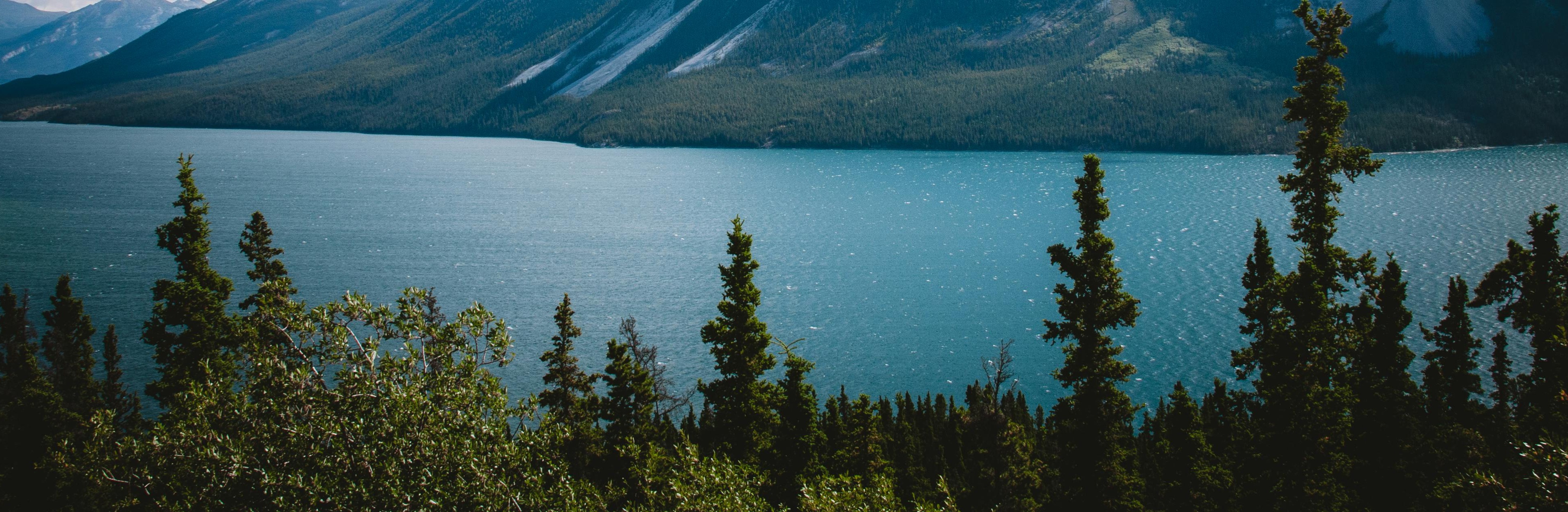 Paisatge de muntanya