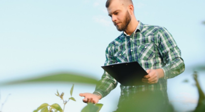 Chico trabajando en el campo