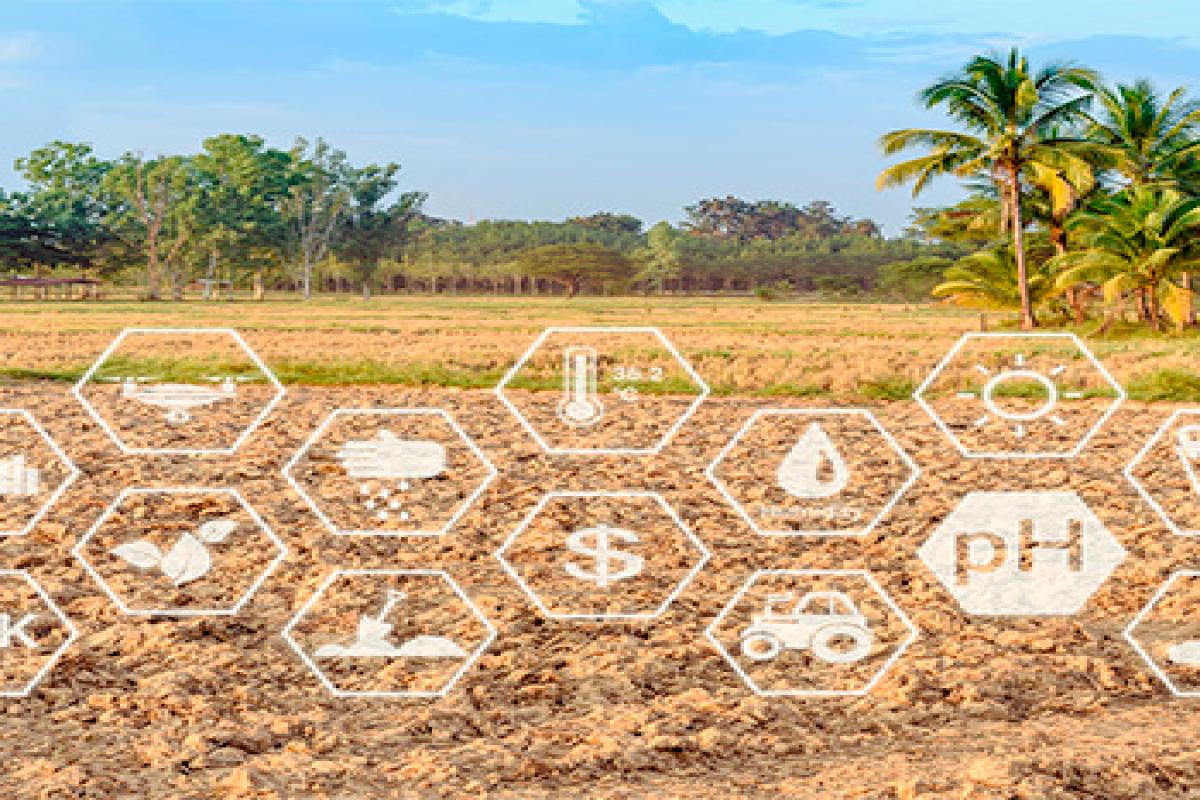 Agrotech, la necessària transformació de l'agricultura