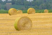 ¿Están dando fruto las protestas por la PAC? Movilización y resultados en el horizonte